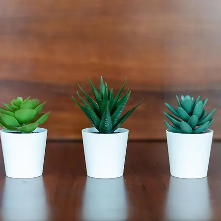 Maison Cecile In Villa. Host Marianna Διαμέρισμα