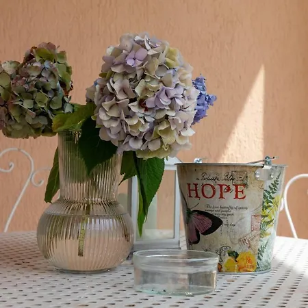 Maison Cecile In Villa. Host Marianna شقة Agliè