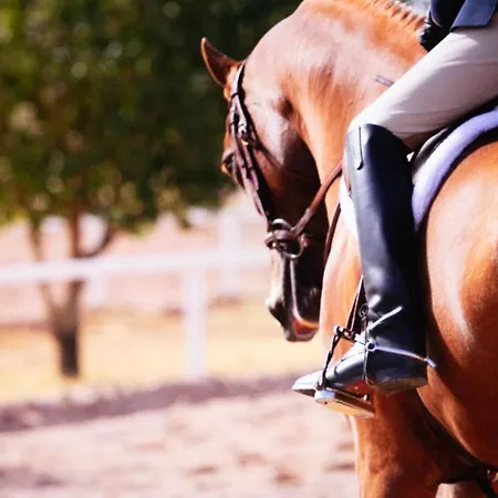 דירה Maison Cecile In Villa. Host Marianna Agliè